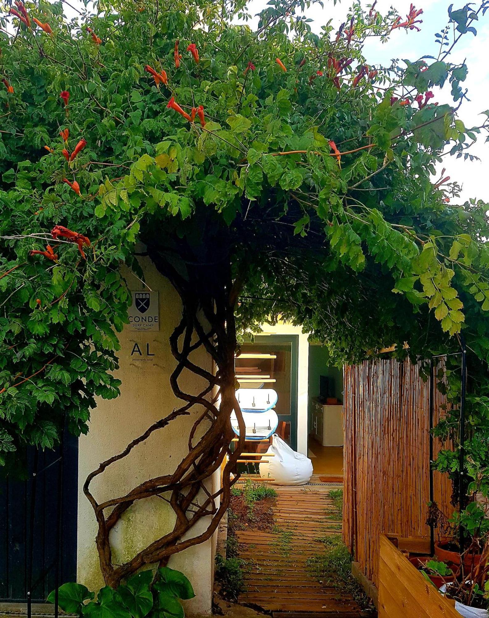 Conde Surf Camp - Junto Ao Mar - Entire Pvt House Villa Вила ду Конде Екстериор снимка